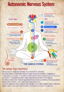 Autonomic Nervous System: Chakras & corresponding Plexuses – Spreading ...