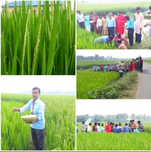 Sahaja Yoga & Agriculture – ALATI NIRMAL ASHRAM, near Tarakeshwar ...